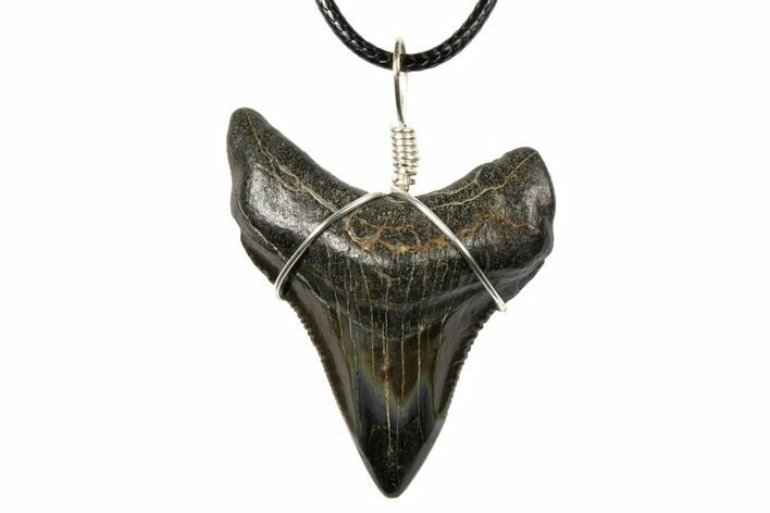 Fossil Megalodon Tooth Necklace #130978